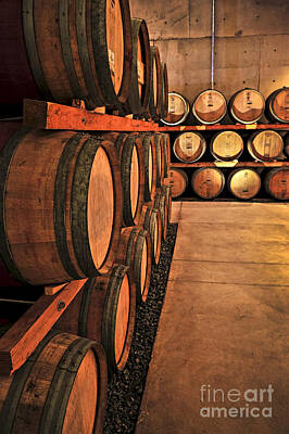 Wine Royalty-Free and Rights-Managed Images - Wine barrels 4 by Elena Elisseeva