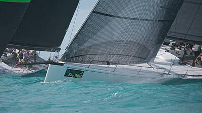 Beach House Signs Rights Managed Images - Key West Race Week Royalty-Free Image by Steven Lapkin