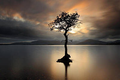 Landscapes Photos - Loch Lomond Sunset by Grant Glendinning