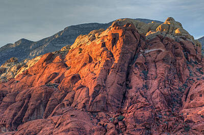 On Trend At The Pool - Red Rock Canyon by Dean Pennala
