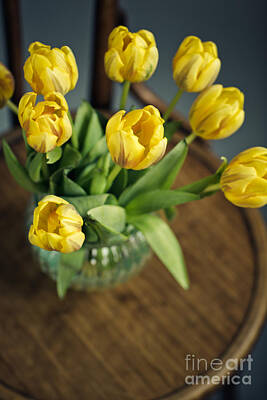 Still Life Rights Managed Images - Still Life with Yellow Tulips Royalty-Free Image by Nailia Schwarz