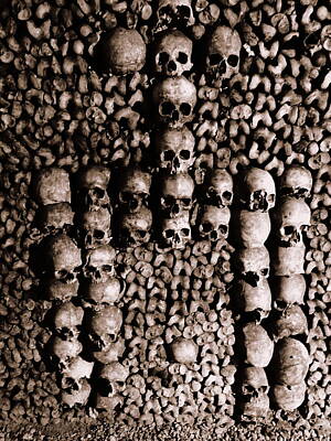 Frog Photography Rights Managed Images - Skulls And Bones In The Catacombs Of Paris France Royalty-Free Image by Rick Rosenshein