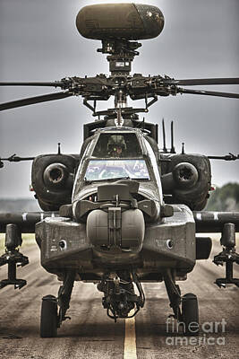 Rabbit Marcus The Great - Ah-64 Apache Helicopter On The Runway by Terry Moore