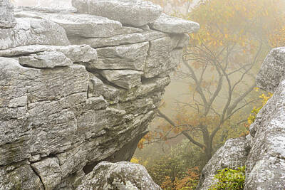 The Masters Romance - Autumn Fog Bear Rocks by Thomas R Fletcher