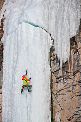 Winter Animals - Ice Climb by Elijah Weber