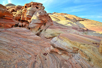 State Love Nancy Ingersoll - Valley of Fire by Ray Mathis