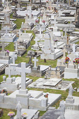 Claude Monet - A Cemetery In Old San Juan Puerto Rico by Bryan Mullennix