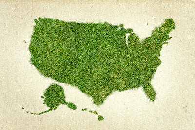 Vintage Stamps - United State Grass Map by Aged Pixel