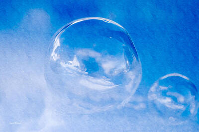 Recently Sold - Crystal Wightman Rights Managed Images - A Cold Winter Bubble Royalty-Free Image by Crystal Wightman