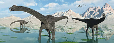 Animals Digital Art Royalty Free Images - A Group Of Diplodocus Dinosaurs Grazing Royalty-Free Image by Mark Stevenson