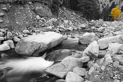 Beach House Throw Pillows - A Long South St Vrain Canyon Autumn View BWSC by James BO Insogna