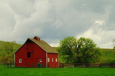 Birds Rights Managed Images - A Neat Red Barn Near Sheridan Wyoming Royalty-Free Image by Jeff Swan