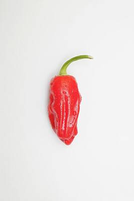 Design Turnpike Vintage Farmouse - A Red Jalapeno Pepper That Looks Hot by John Short
