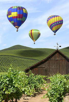 Wine Royalty-Free and Rights-Managed Images - A Ride Through Napa Valley by Mike McGlothlen