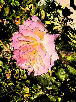 Garden Fruits Royalty Free Images - A Rose Royalty-Free Image by Lovina Wright