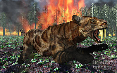 Mammals Royalty-Free and Rights-Managed Images - A Saber-toothed Tiger Running Away by Mark Stevenson