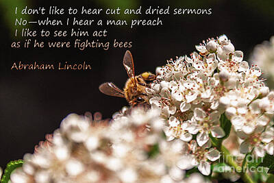 Politicians Photos - Abraham Lincoln Fighting Bees by Janice Pariza