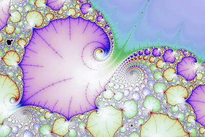 Florals Digital Art - Abstract digital art floral design with leaves and spirals by Matthias Hauser