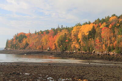 Tool Paintings - Acadia National Park Foliage by the Sea by John Burk