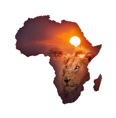 Mammals Photos - African Wildlife Map by Johan Swanepoel
