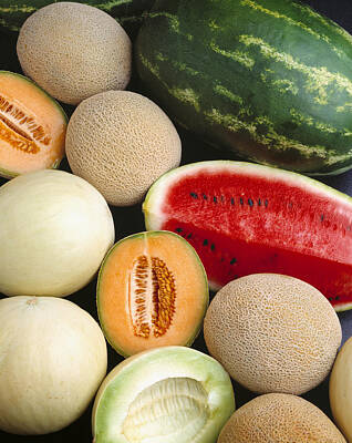 Food And Beverage Photos - Agriculture - Mixed Melons, Watermelon by Ed Young