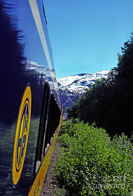 Mans Best Friend Rights Managed Images - Alaska Railroad Anchorage to Whittier Route Royalty-Free Image by Thomas R Fletcher