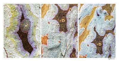 Landscapes Royalty-Free and Rights-Managed Images - Alien Triptych Landscape  by Rudy Umans