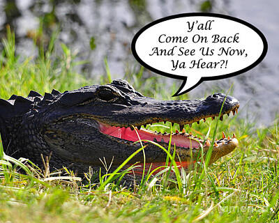 Reptiles Photo Royalty Free Images - Alligator Yall Come Back Card Royalty-Free Image by Al Powell Photography USA
