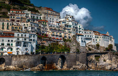 Sultry Plants - Amalfi Coast by Uri Baruch
