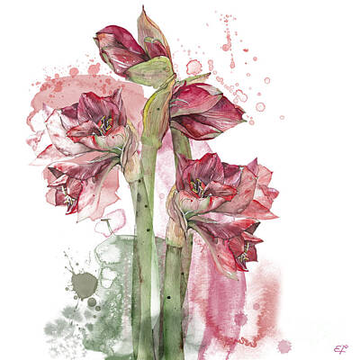 The Stinking Rose - Amaryllis Flowers - 3. - Elena Yakubovich by Elena Daniel Yakubovich