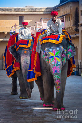 Animals Photos - Amber Fort Elephants by Inge Johnsson