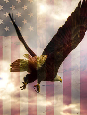 Landmarks Photos - American Bald Eagle In Flight wtih Flag by Natasha Bishop