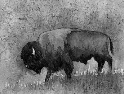Royalty-Free and Rights-Managed Images - Monochrome American Buffalo 3  by Hailey E Herrera