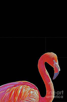 Birds Mixed Media - American Pink Flamingo by Celestial Images