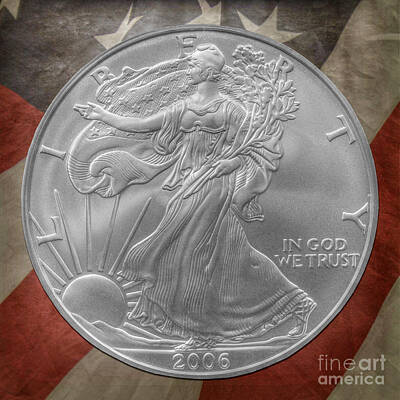 Landmarks Photos - American Silver Eagle Dollar by Randy Steele