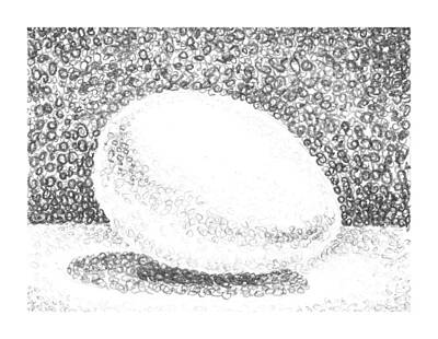 Still Life Drawings Rights Managed Images - An Egg Study Two Royalty-Free Image by Irina Sztukowski