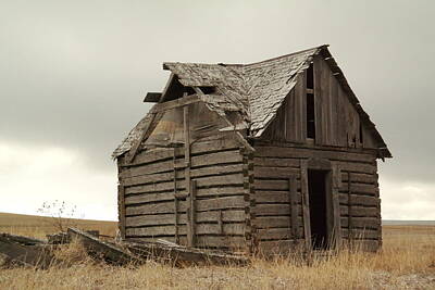 Birds Royalty-Free and Rights-Managed Images - An Old Cabin In Eastern Montana by Jeff Swan