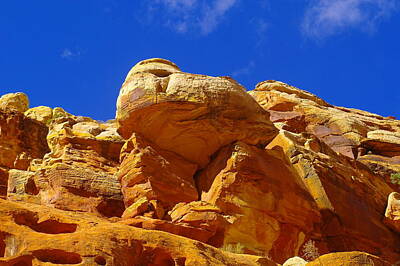 Birds Royalty-Free and Rights-Managed Images - An Orange Boulder by Jeff Swan