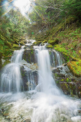 Travel Pics Royalty Free Images - An Unnamed Waterfall Rushes Royalty-Free Image by Zachary Sheldon