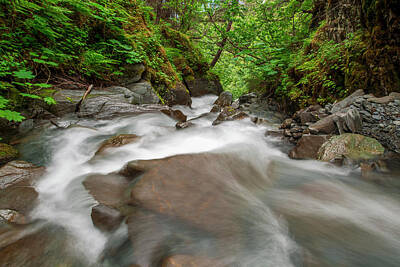 Travel Pics Royalty Free Images - An Unnammed Creek Near Valdez, Rushes Royalty-Free Image by Zachary Sheldon