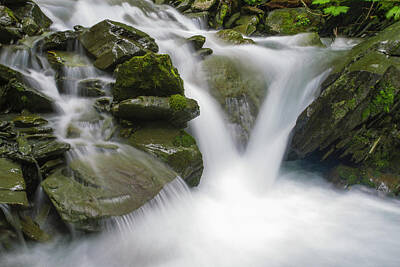 Travel Pics Royalty Free Images - An Unnammed Creek Rushes Royalty-Free Image by Zachary Sheldon