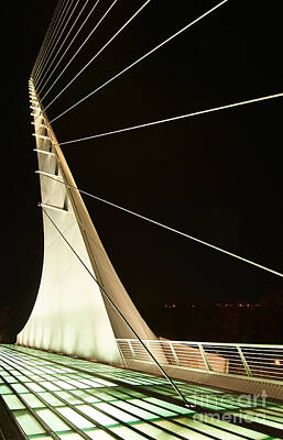 Reptiles Royalty-Free and Rights-Managed Images - Anchored Sail - The unique and beautiful Sundial Bridge in Redding California. by Jamie Pham