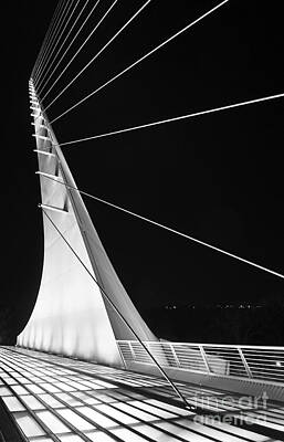 Reptiles Rights Managed Images - Anchored Sail - The unique Sundial Bridge in Redding California. Royalty-Free Image by Jamie Pham