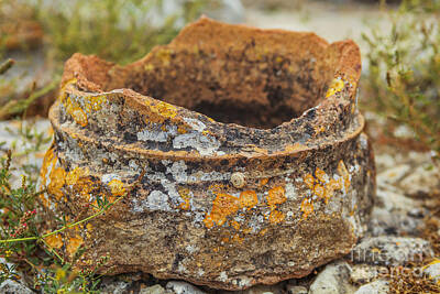 Mans Best Friend - Ancient broken pot by Patricia Hofmeester