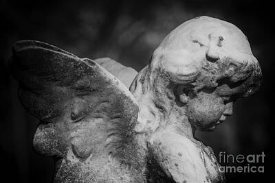 Mother And Child Animals - Angelic 2 by Joe Geraci