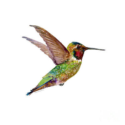 Animals Paintings - Anna Hummingbird by Amy Kirkpatrick