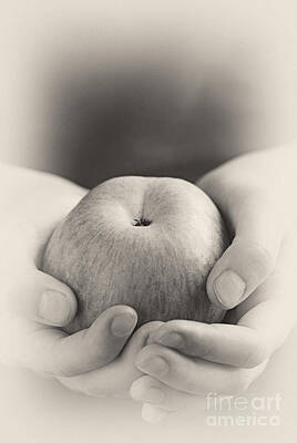 Food And Beverage Royalty-Free and Rights-Managed Images - Apple in hands by Elena Elisseeva