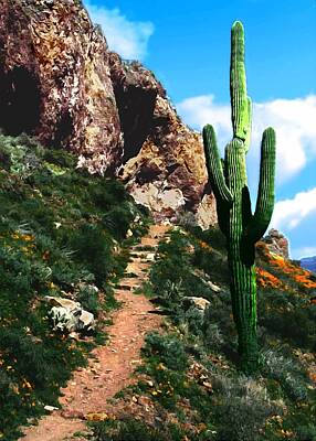 Lets Be Frank - Arizona Saguaro Tonto National Monument by Bob and Nadine Johnston