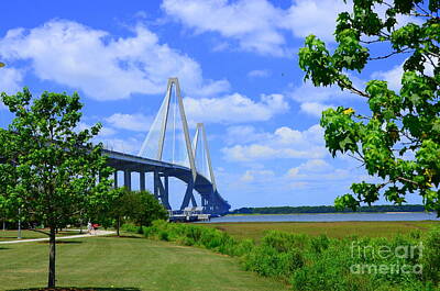 Pbs Kids - Arthur Ravenel Bridge of Charleston South Carolina by Debra Martz