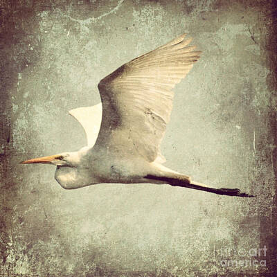 Go For Gold Royalty Free Images - Artsy Egret Royalty-Free Image by Kerri Farley